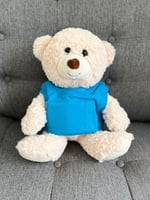 A stuffed bear on a couch

Description automatically generated